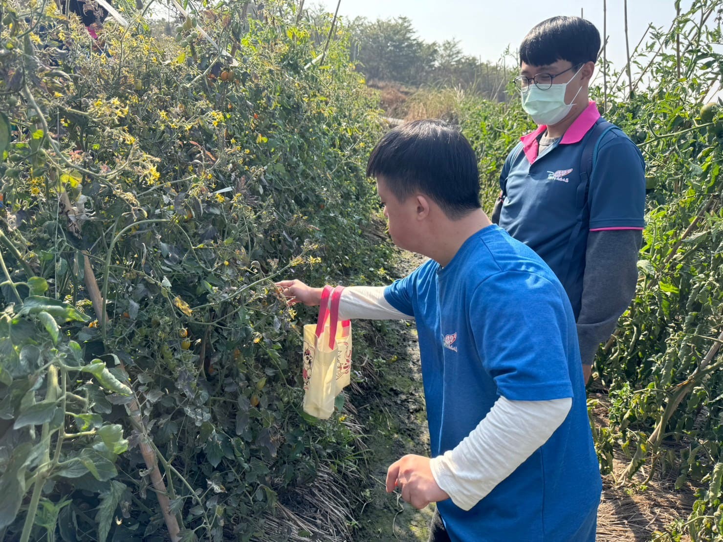 採番茄趣與甕仔雞滋味(標題圖檔)